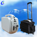 China Portable 5/10 L Oxygen Concentrator Medical Grade Oxygen Concentrator Prices